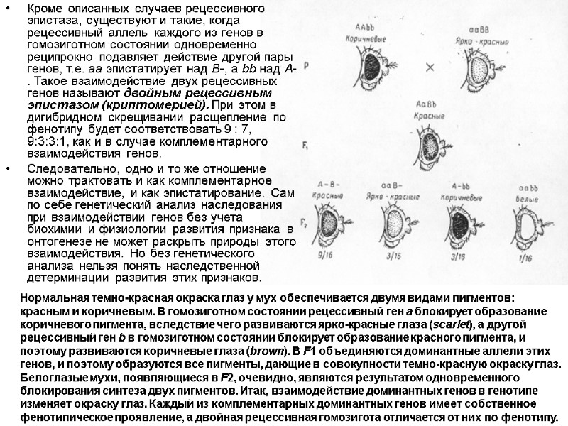 Кроме описанных случаев рецессивного эпистаза, существуют и такие, когда рецессивный аллель каждого из генов
